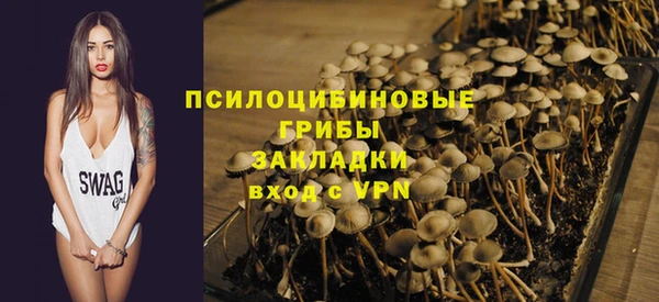 прущая мука Вязники